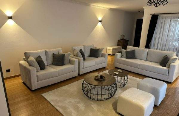 buffalo grey 7 seater pakistan